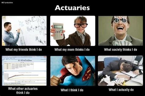 22 Best Actuary Images On Pinterest Jokes Math Humor And Accounting