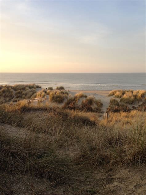 de duinen met zicht op zee in blankenberge multimedia1 eigen beelden pinterest