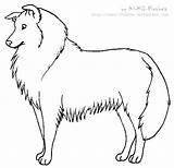 Lassie Collie Lineart sketch template