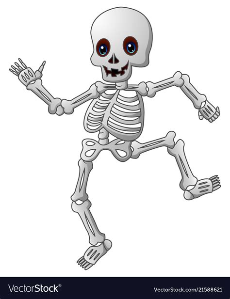 cute skeleton pictures wallpaperall