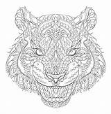 Tiger Antistress Coloring Pages sketch template