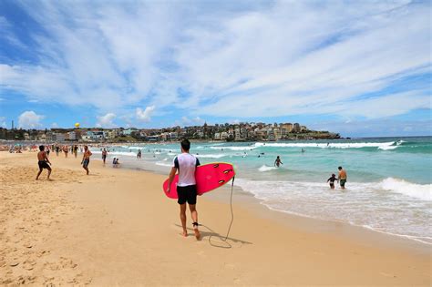 10 best beaches in sydney which sydney beach is right for you go
