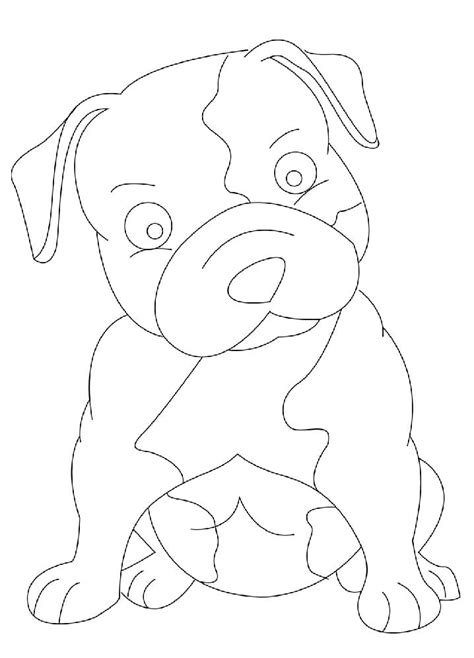 pitbull coloring page  printable coloring pages  kids