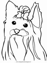 Coloring Pages Yorkie Terrier Drawing Dog Line Female Puppy Printable Beautiful 1e45 Highland Yorkshire West Cairn Color Getcolorings Print Getdrawings sketch template