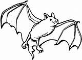 Coloring Pages Bats Animals Nocturnal Flying Kids Sheets sketch template