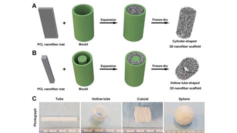 nanofiber membranes transformed    scaffolds