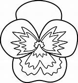 Pansy Flower Pansies Sweetclipart sketch template