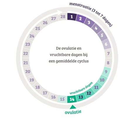 ovulatie kalender ovulatie calculator en vruchtbare dagen