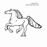 Friesan Prancing Coloring Horse Pages Index Own Color sketch template