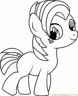 Coloring Pages Little Seed Pony Babs Colorir Coloringpages101 Para Imagens Seeds Mlp Friendship Color Magic Personagens Popular sketch template