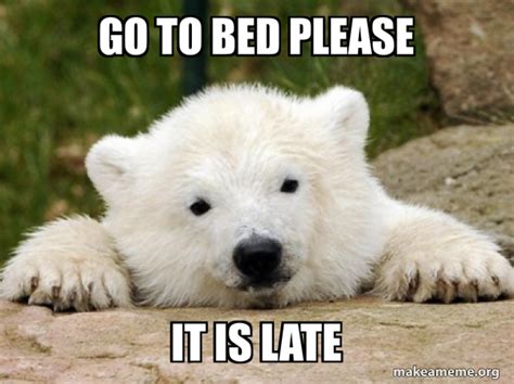 Go To Bed Please It Is Late Popular Opinion Bear Make A Meme