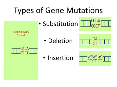ppt mutations powerpoint presentation free download id 2664465