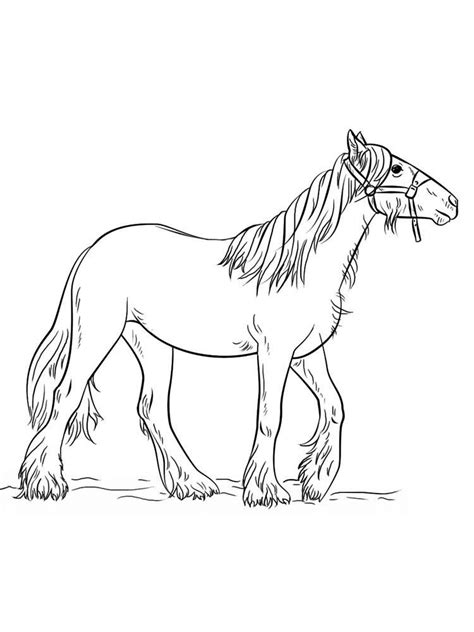 wild horse coloring pages pict horses    runner animals