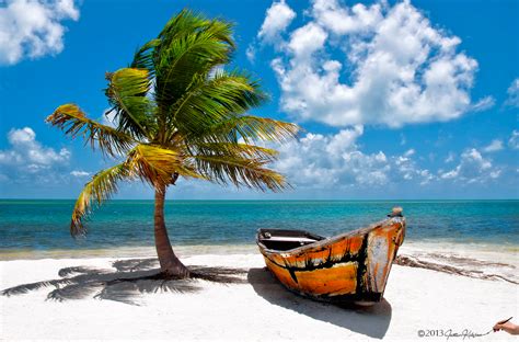 palm tree beach florida umbrella scene  atvictoriaj