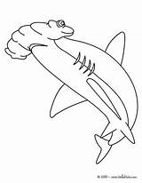 Hammerhead Mako Martillo Requin Hellokids Marteau Tiburon Colorier Megalodon Soar Getdrawings Tiburones Designlooter Línea sketch template