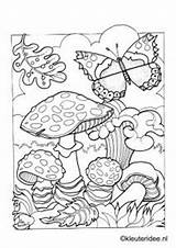 Kleurplaat Kleuteridee Herfst Ouderen Vlinder Lente Pyrography Volwassenen Paddestoel Kiezen sketch template