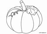Pumpkin Coloring Pages Leaves Printable Squash Drawing Outline Color Vine Patch Leaf Fall Coloringpage Halloween Christian Colouring Coloriage Eu Preschoolers sketch template