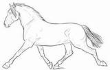 Fjord Lineart Galloping Norwegian sketch template