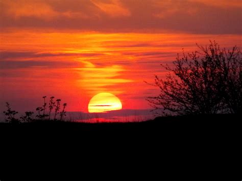 무료 이미지 수평선 구름 태양 해돋이 일몰 새벽 분위기 황혼 빨간 불 저녁에 잔광 아침에 붉은 하늘