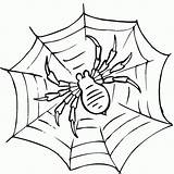 Web Coloring Spider Pages Printable Kids Gif sketch template