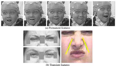 facial expression recognition face recognition techniques part
