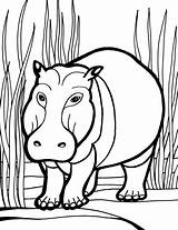 Coloring Hippopotamus Pages Color Kids Hippo Develop Recognition Creativity Ages Skills Focus Motor Way Fun Print sketch template