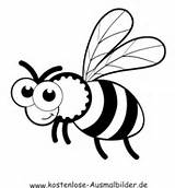 Biene Bienen Ausmalbilder Ausmalen Malvorlagen Tiere Kostenlose Malvorlage Bienenstock Kinder sketch template