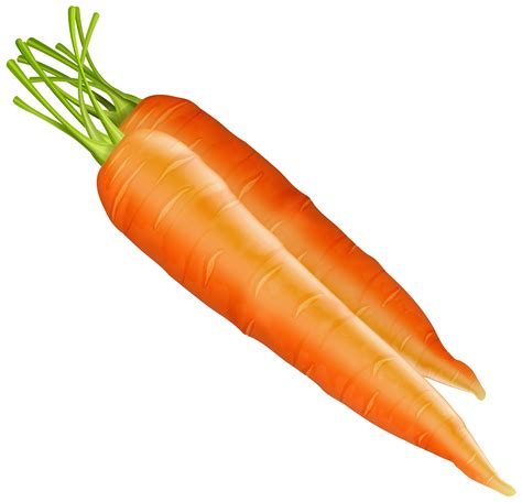 carrots png clipart  web clipart