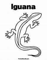 Iguana Iguanas Galapagos Twistynoodle Eidechse sketch template
