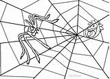 Spinnennetz Cool2bkids Malvorlagen Druckbare Natureza Aranha Teia Getdrawings sketch template