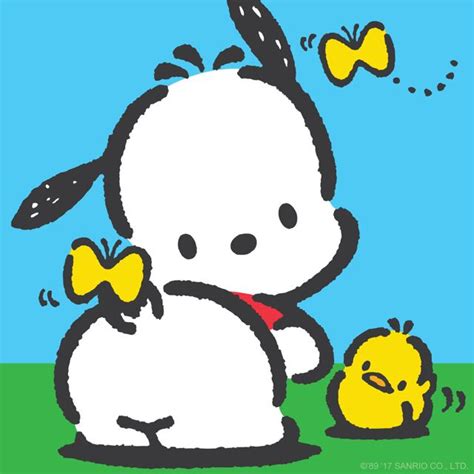 pochacco images  pinterest drawings sanrio  kitty