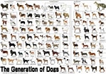 犬 系統図 に対する画像結果.サイズ: 149 x 105。ソース: www.amazon.co.jp