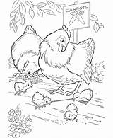 Coloring Chicken Pages Farm Animal Chickens Kids Printable Sheets Color Print Bird Early Cute Worm Gets Sheet Colouring Honkingdonkey Adult sketch template