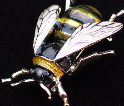 white black yellow jacket bug insect wasp fly bumble bee pin brooch