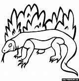 Komodo Dragon Coloring Pages Colouring Thecolor Color Fantasy Printable Clip Designlooter Use Activities Clipart 33kb 565px Zoo Rated sketch template
