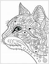 Cat Pages Coloring Wild Realistic Getcolorings Printable sketch template