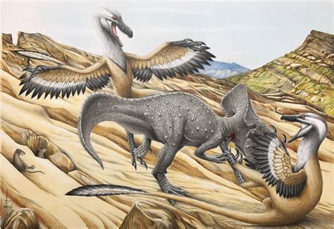 protoceratops  velociraptor  ravepaleoart  deviantart