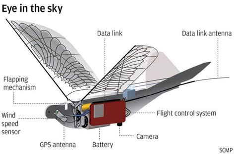 china dove surveillance drone  watching   sky  shouts