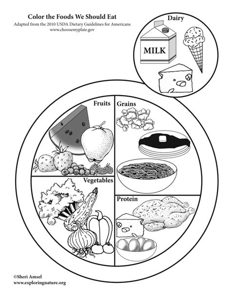 myplate food pages coloring pages