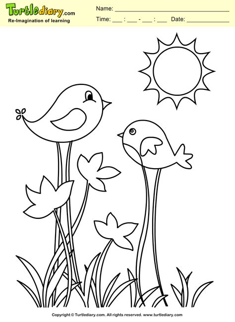 coloring pages  birds  preschool amanda gregorys coloring pages