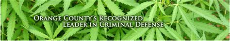 best drug charges attorney in orange county the law office of barry t