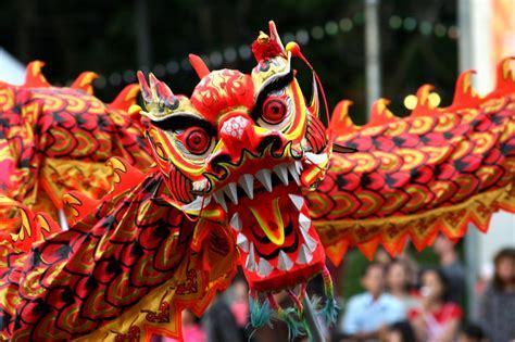10 Things To Do Around Chinese New Year   Aspire  