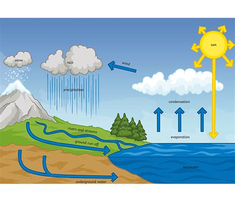 water cycle twinkl