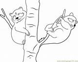 Raccoon Tree Coloring Babies Pages Coloringpages101 Online sketch template
