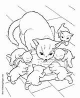 Coloring Cats Pages Cat sketch template