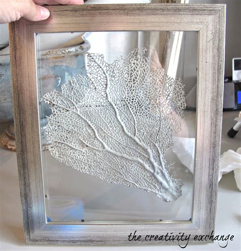 Diy Double Sided Glass Frames For Framing Shells Or Dyed Sea Fans