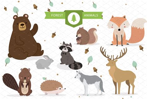cute forest animals vector animal illustrations creative market