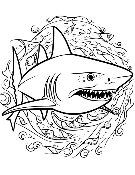 shark pictures  coloring pages