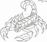 Scorpion Outline Tattoo Drawing Cat Coverup Sean Lw Lucky Getdrawings Deviantart sketch template