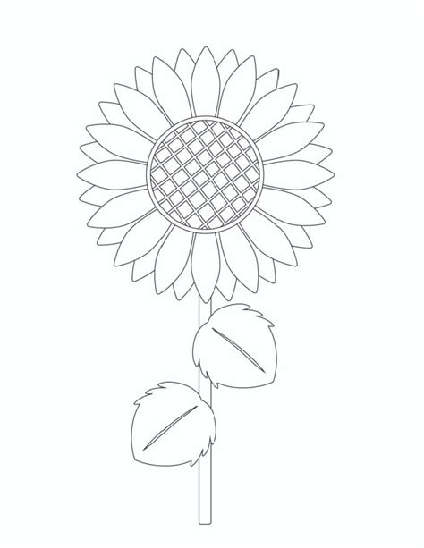 sunflower template   printable templates